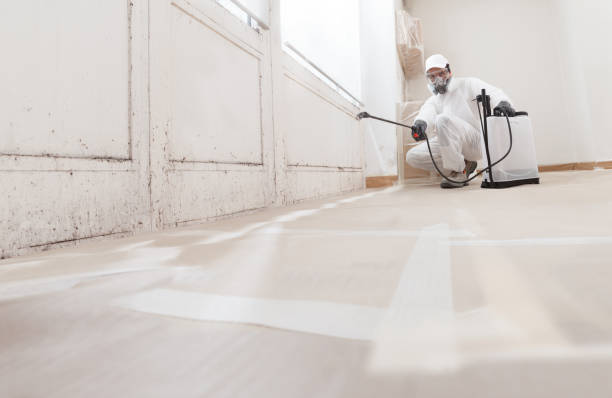 24/7 Emergency Black Mold Remediation experts in Paoli, PA